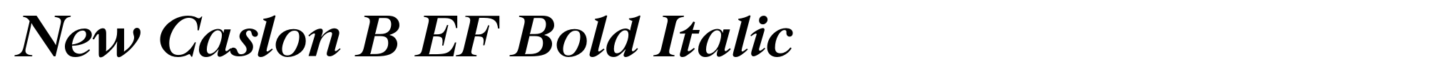 New Caslon B EF Bold Italic image